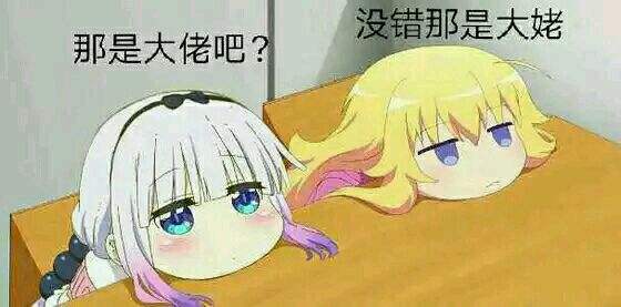 DNF龙骑士和帕拉丁是百分比还是固伤