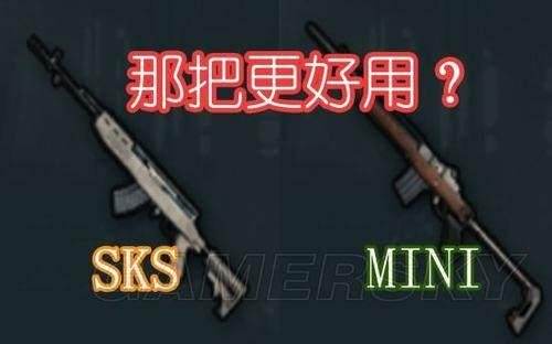 绝地求生sks和mini14谁威力大 武器数据分析 特玩网