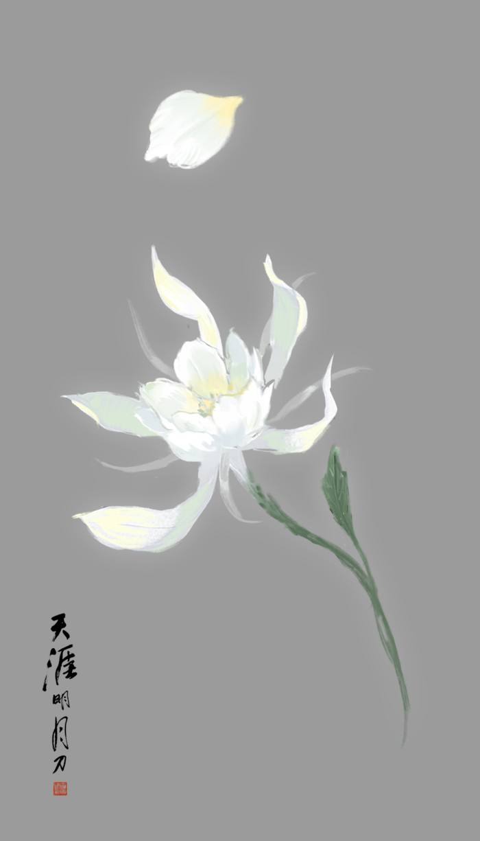 天刀移花宫重要设定曝光 武器校服及武功